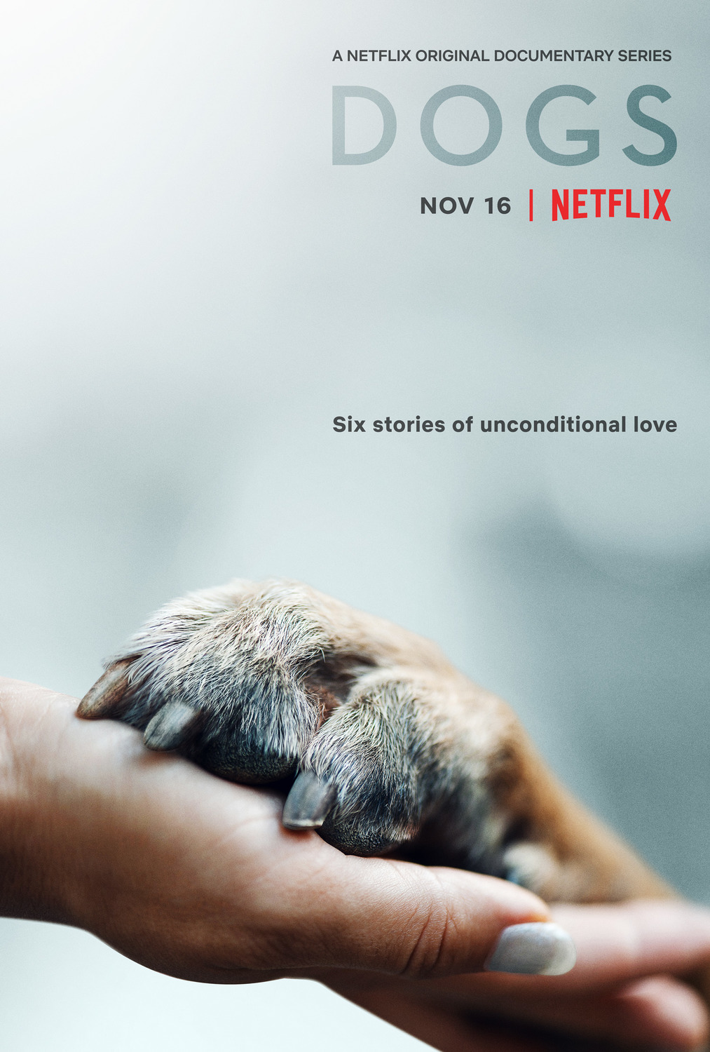 Extra Large TV Poster Image for Dogs 
