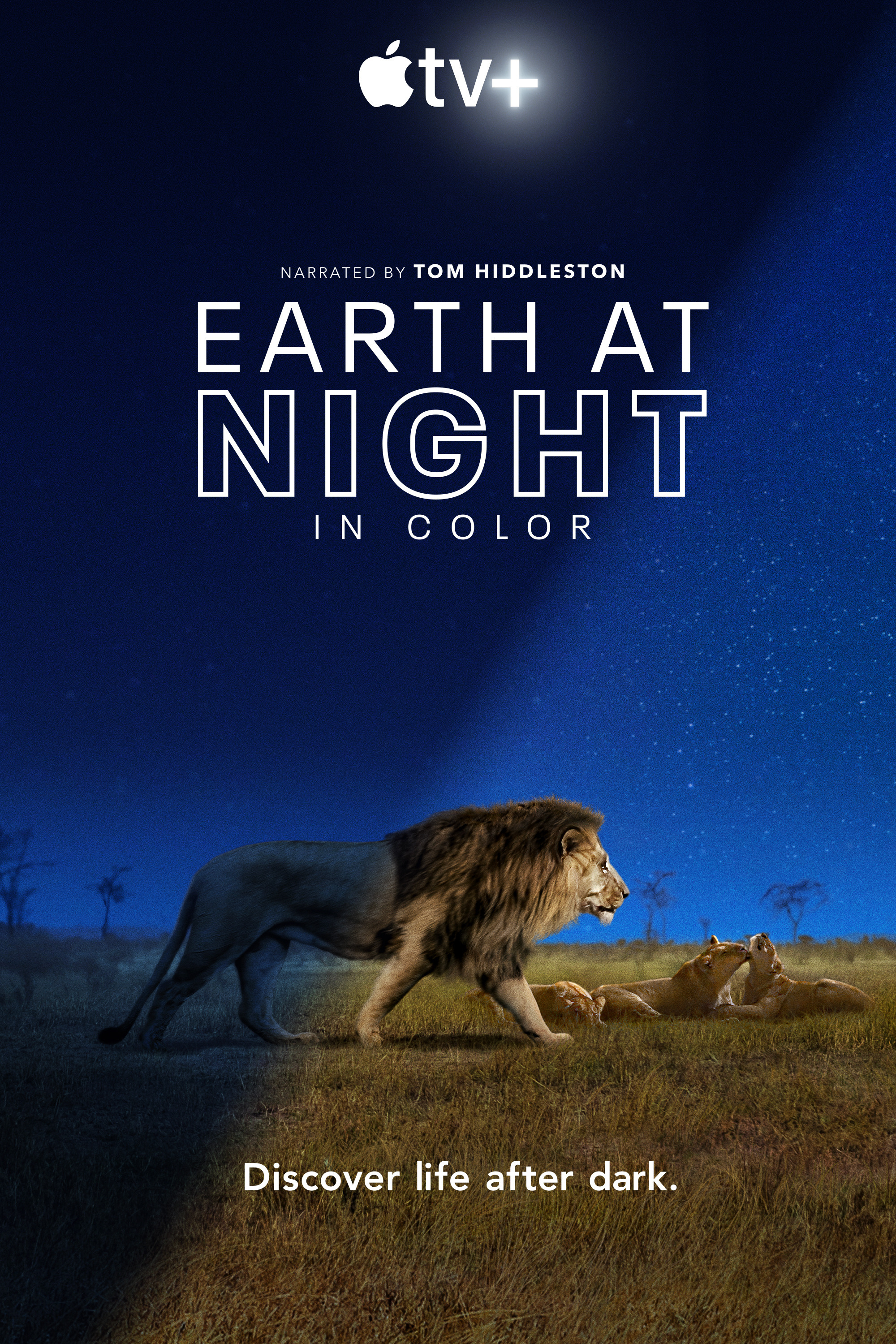 Mega Sized TV Poster Image for Earth at Night in Color (#1 of 2)