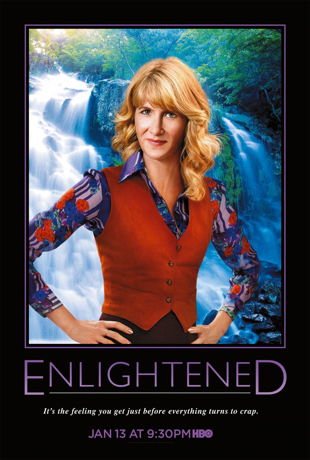 Extra Large TV Poster Image for Enlightened (#4 of 7)