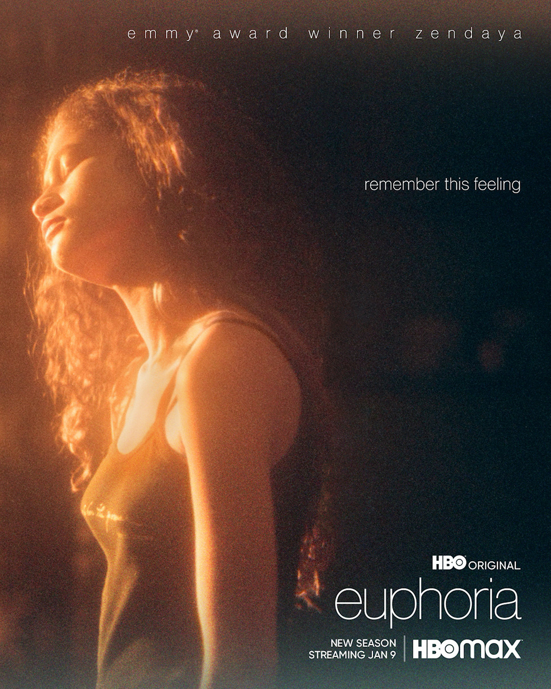 Extra Large TV Poster Image for Euphoria (#5 of 5)