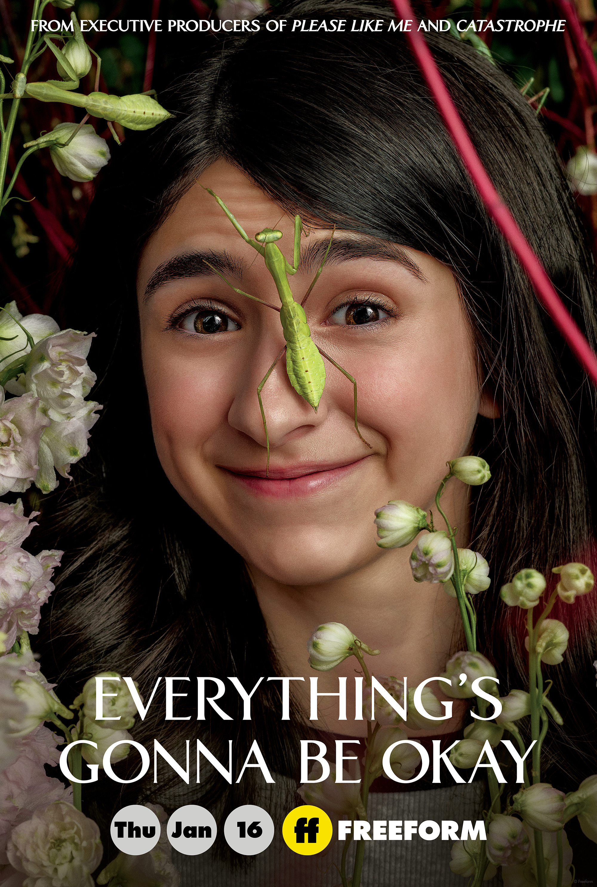 Mega Sized TV Poster Image for Everything's Gonna Be Okay (#4 of 8)