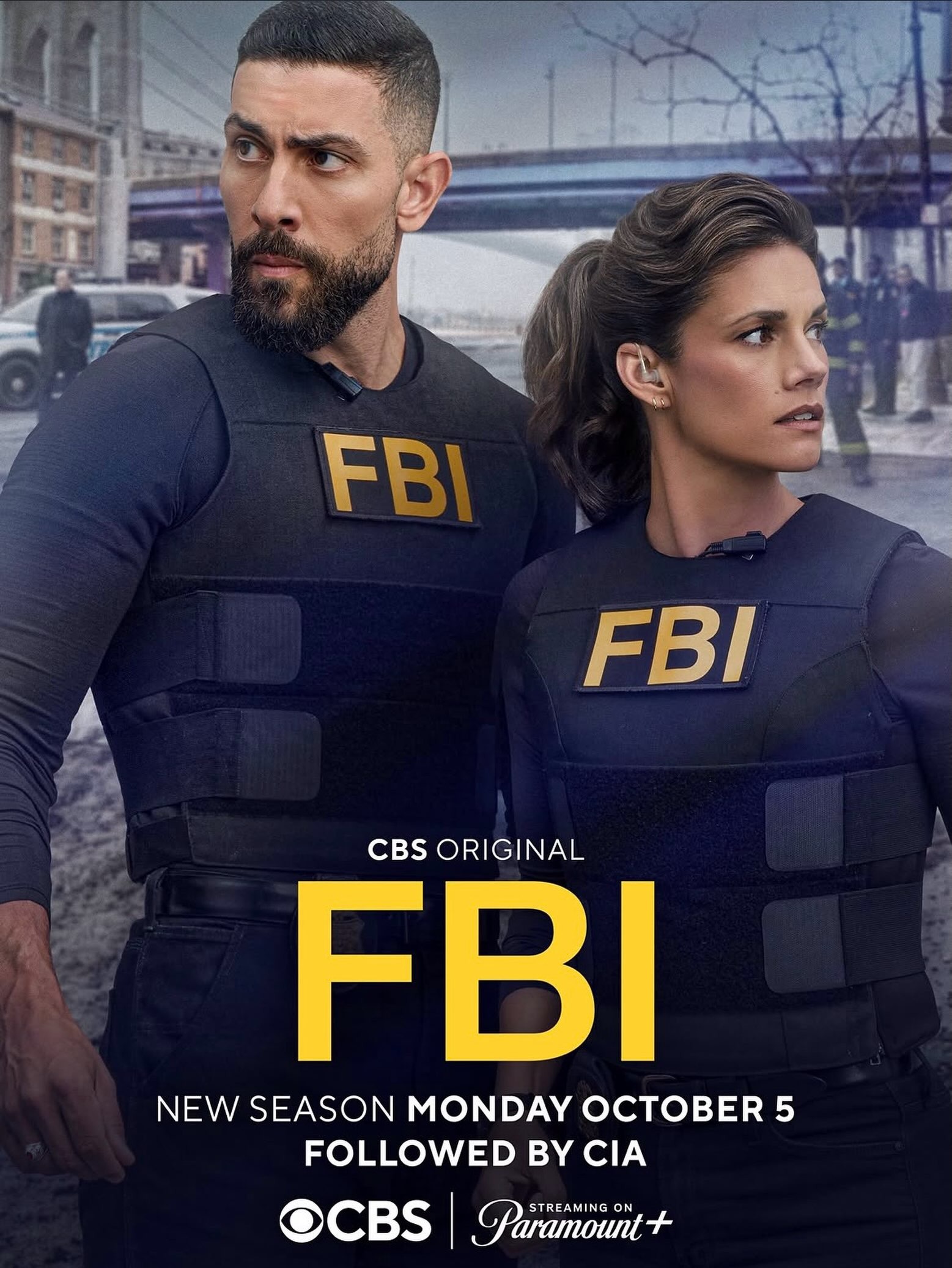 Mega Sized TV Poster Image for FBI (#4 of 4)