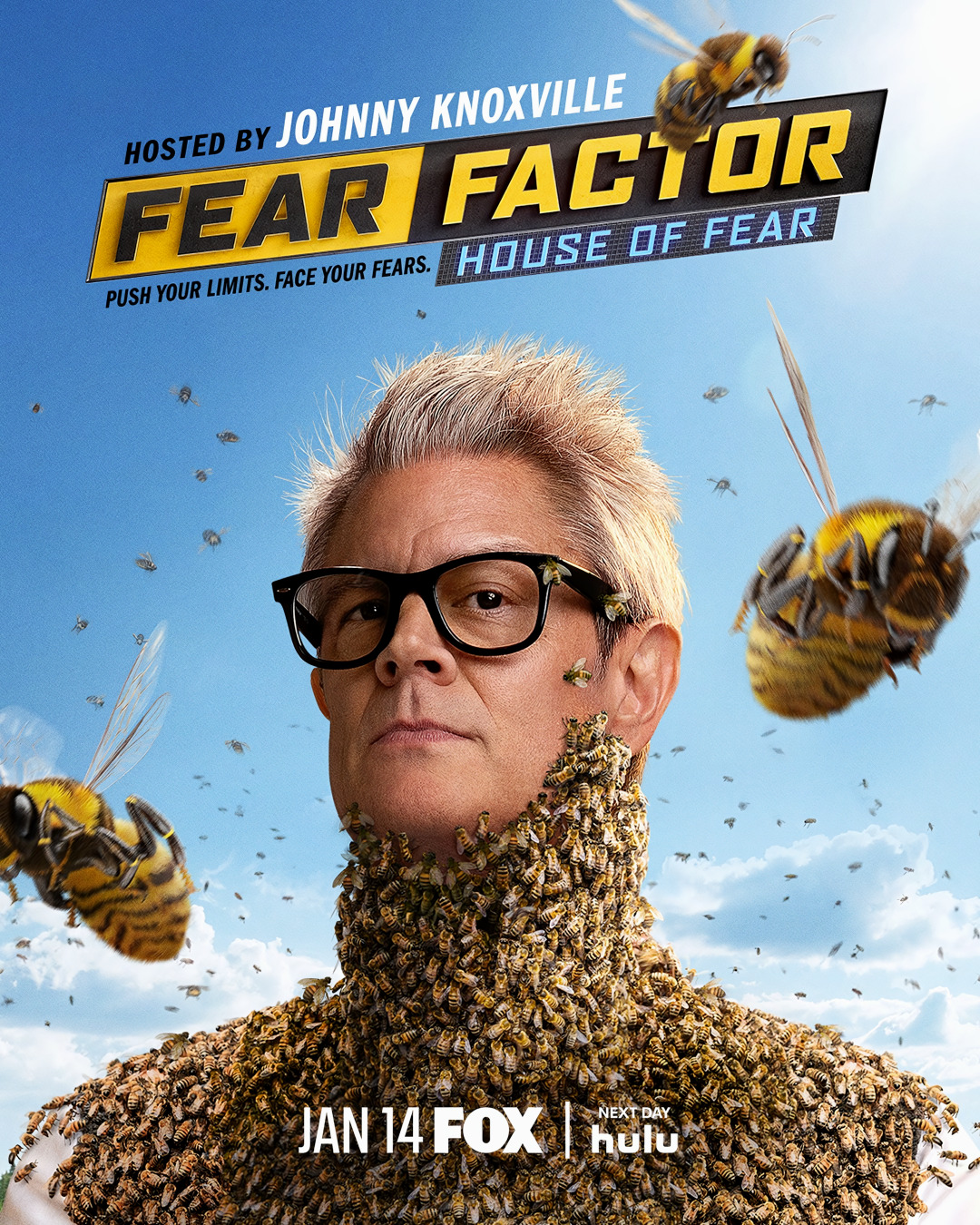 Extra Large TV Poster Image for Fear Factor: House of Fear 