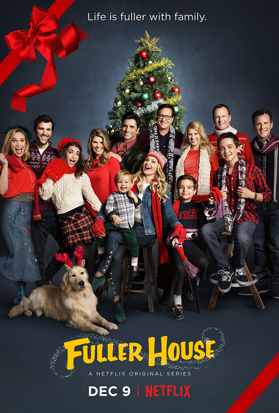 Extra Large TV Poster Image for Fuller House (#14 of 16)
