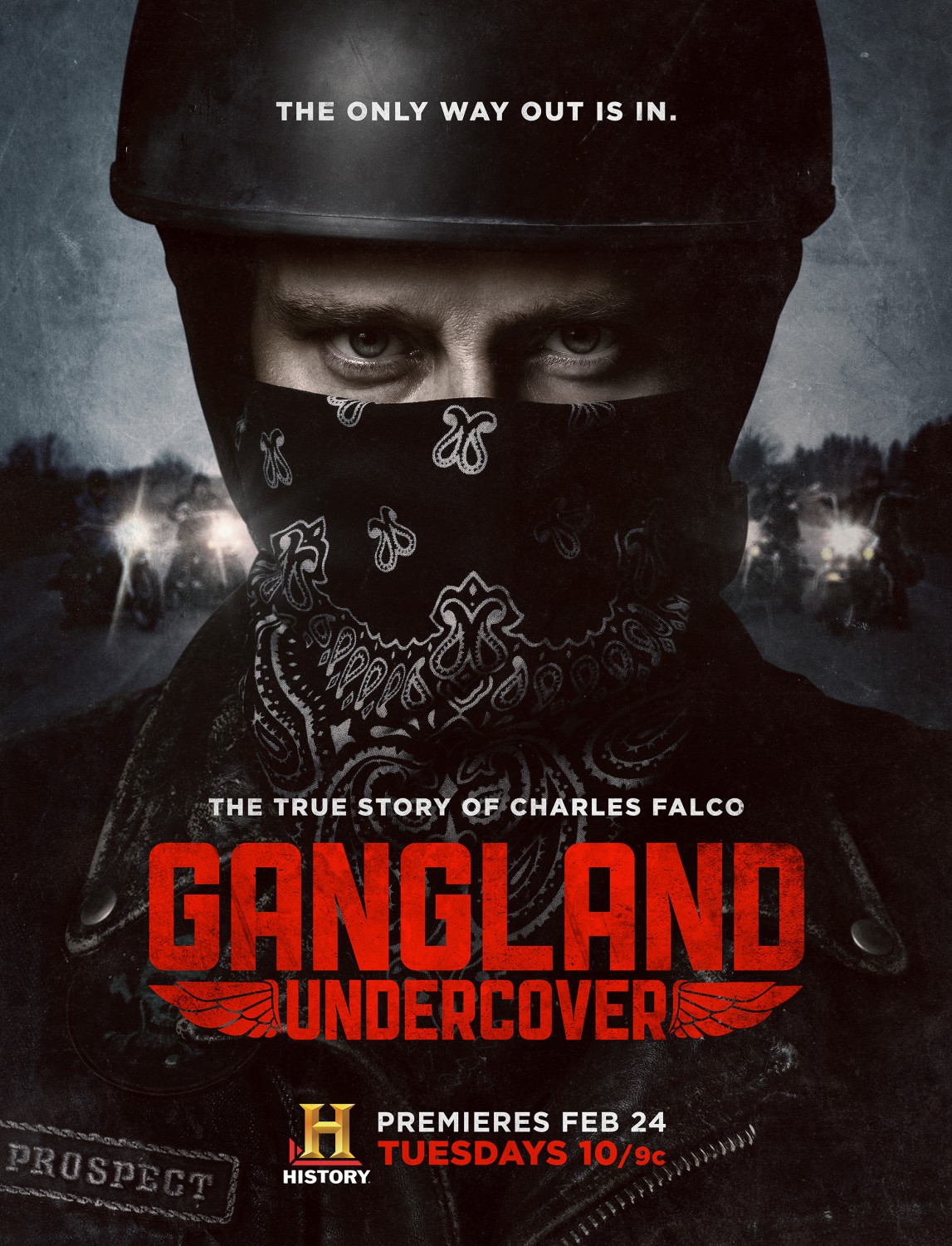 Extra Large TV Poster Image for Gangland Undercover (#1 of 2)