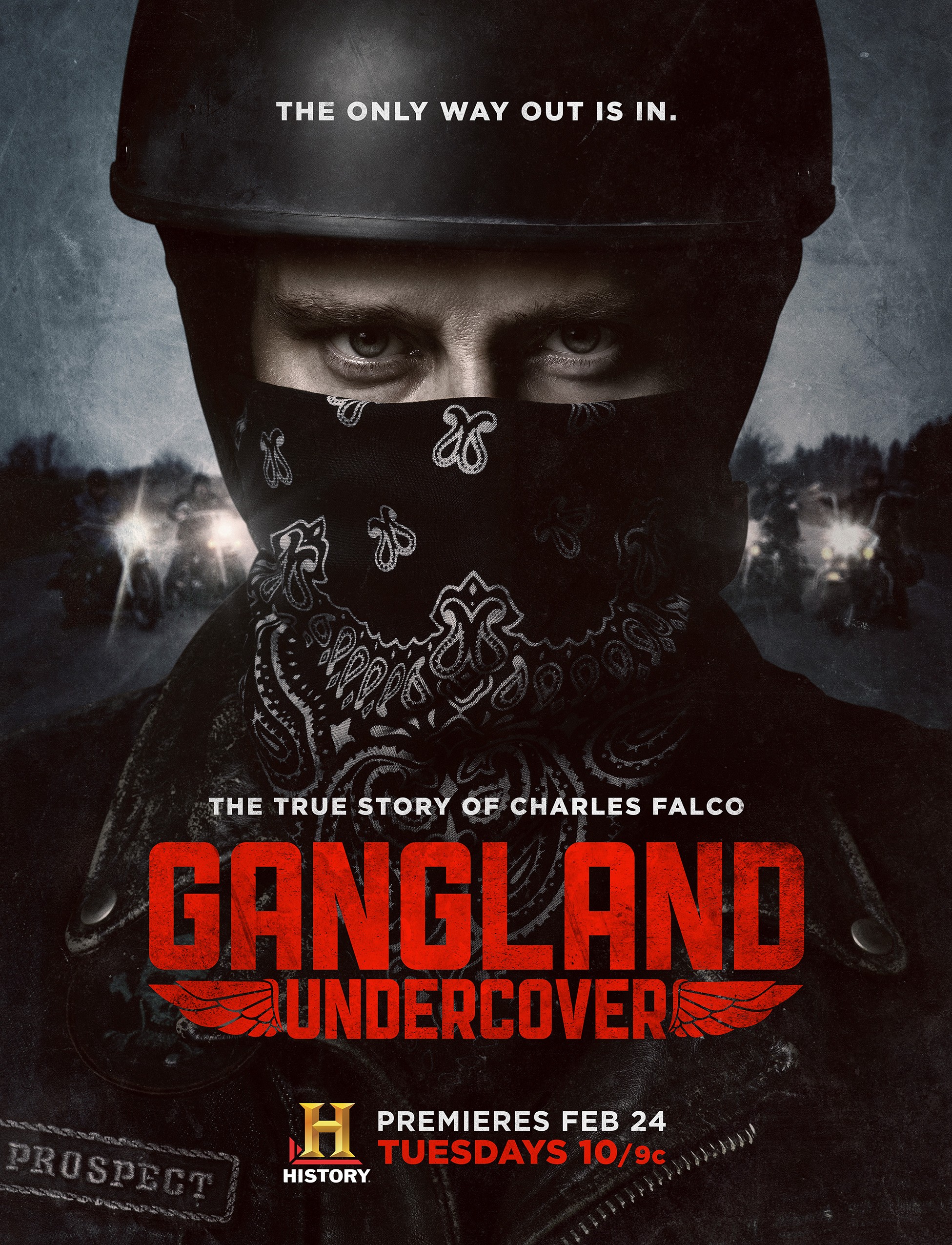 Mega Sized TV Poster Image for Gangland Undercover (#1 of 2)