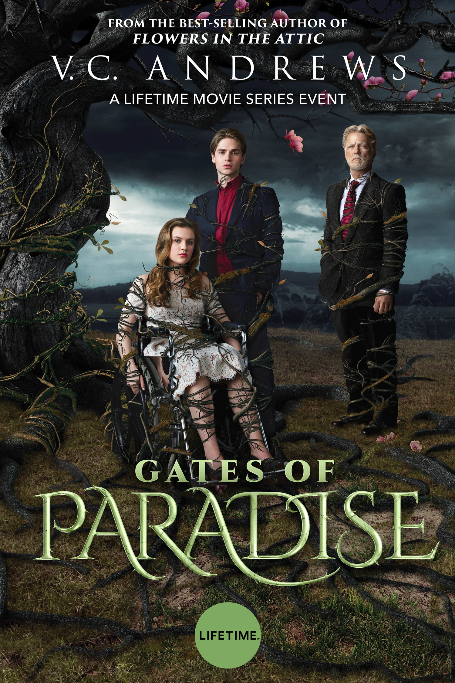Mega Sized TV Poster Image for Gates of Paradise 