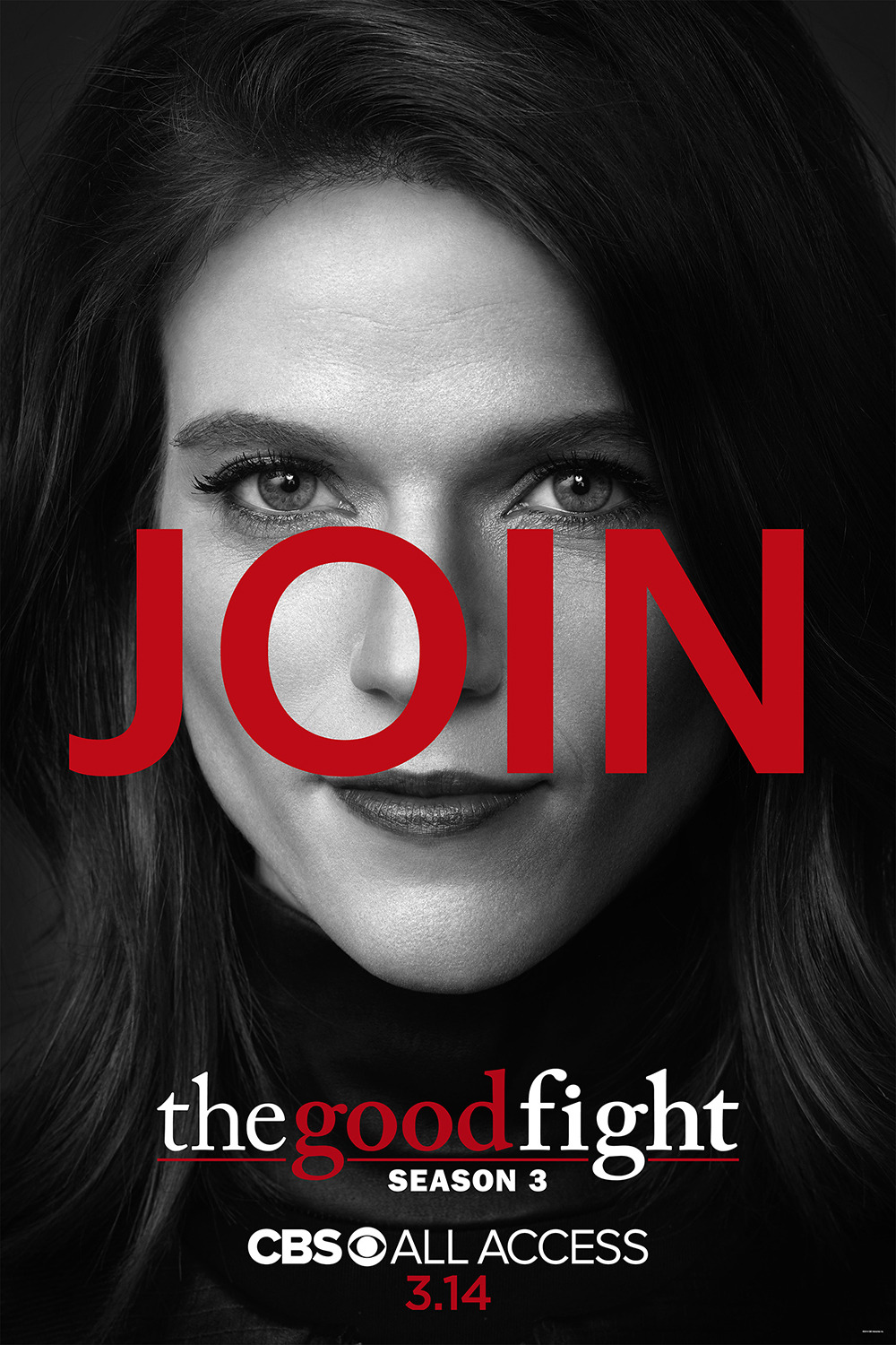 Extra Large Movie Poster Image for The Good Fight (#11 of 17)