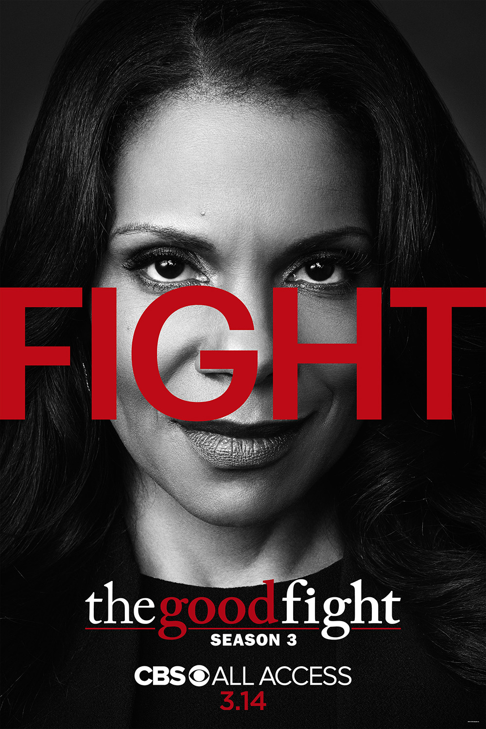 Extra Large Movie Poster Image for The Good Fight (#13 of 17)