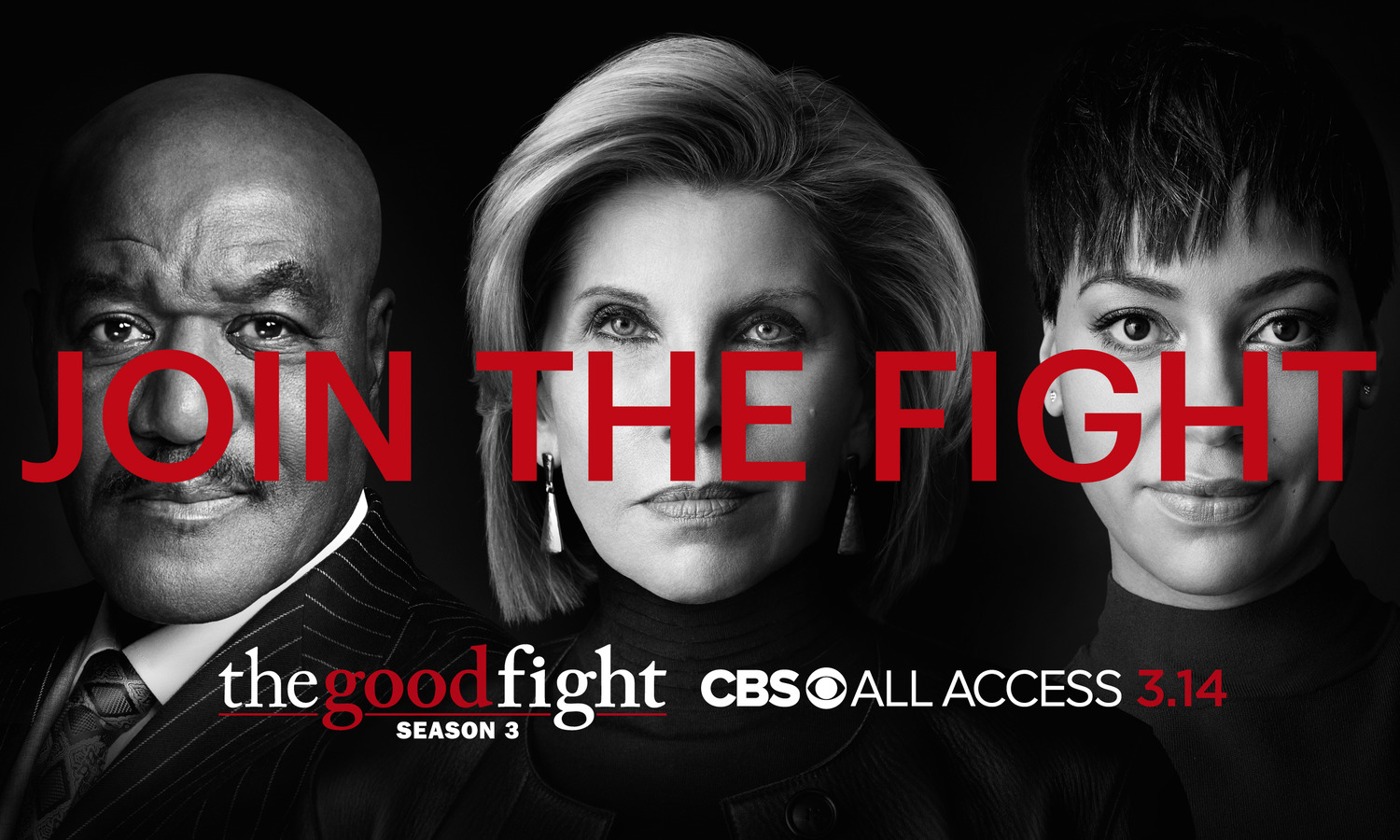 Extra Large Movie Poster Image for The Good Fight (#7 of 17)