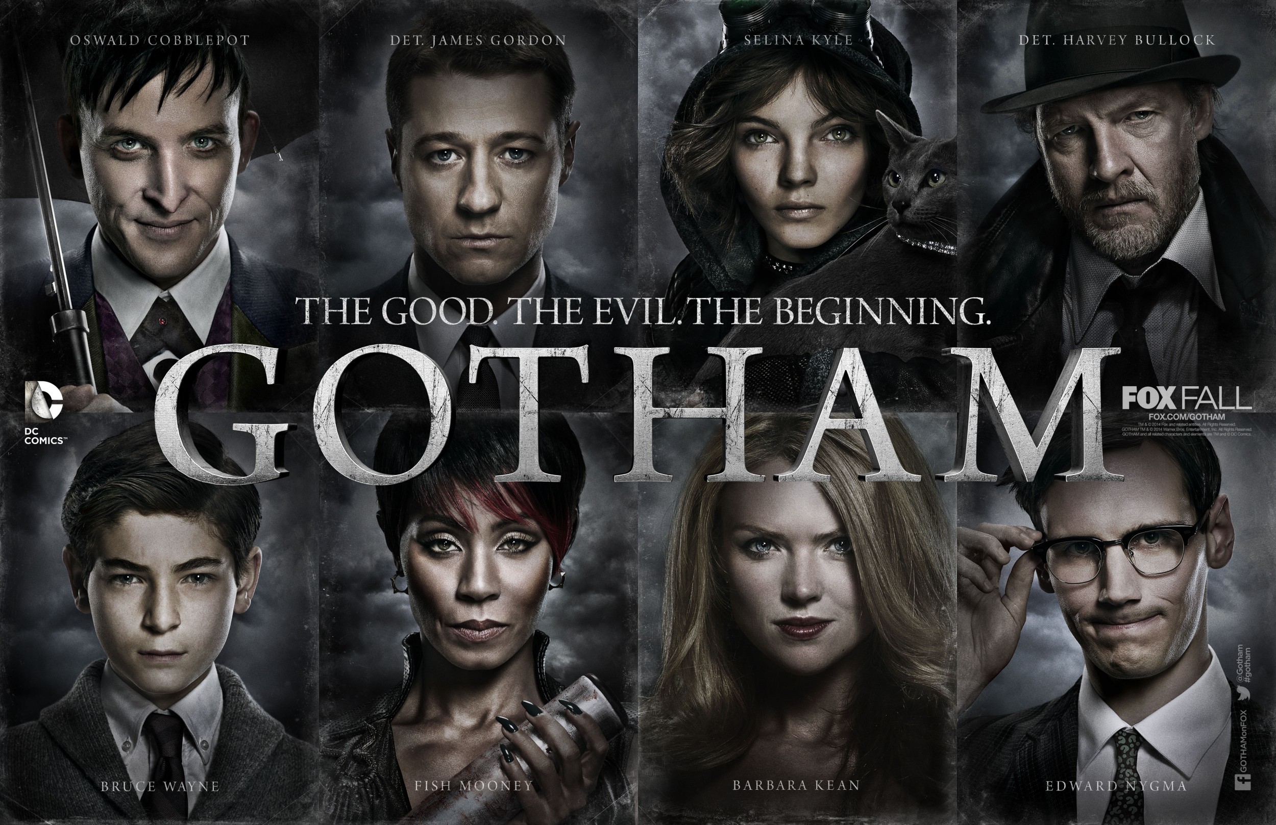 Mega Sized TV Poster Image for Gotham (#10 of 22)