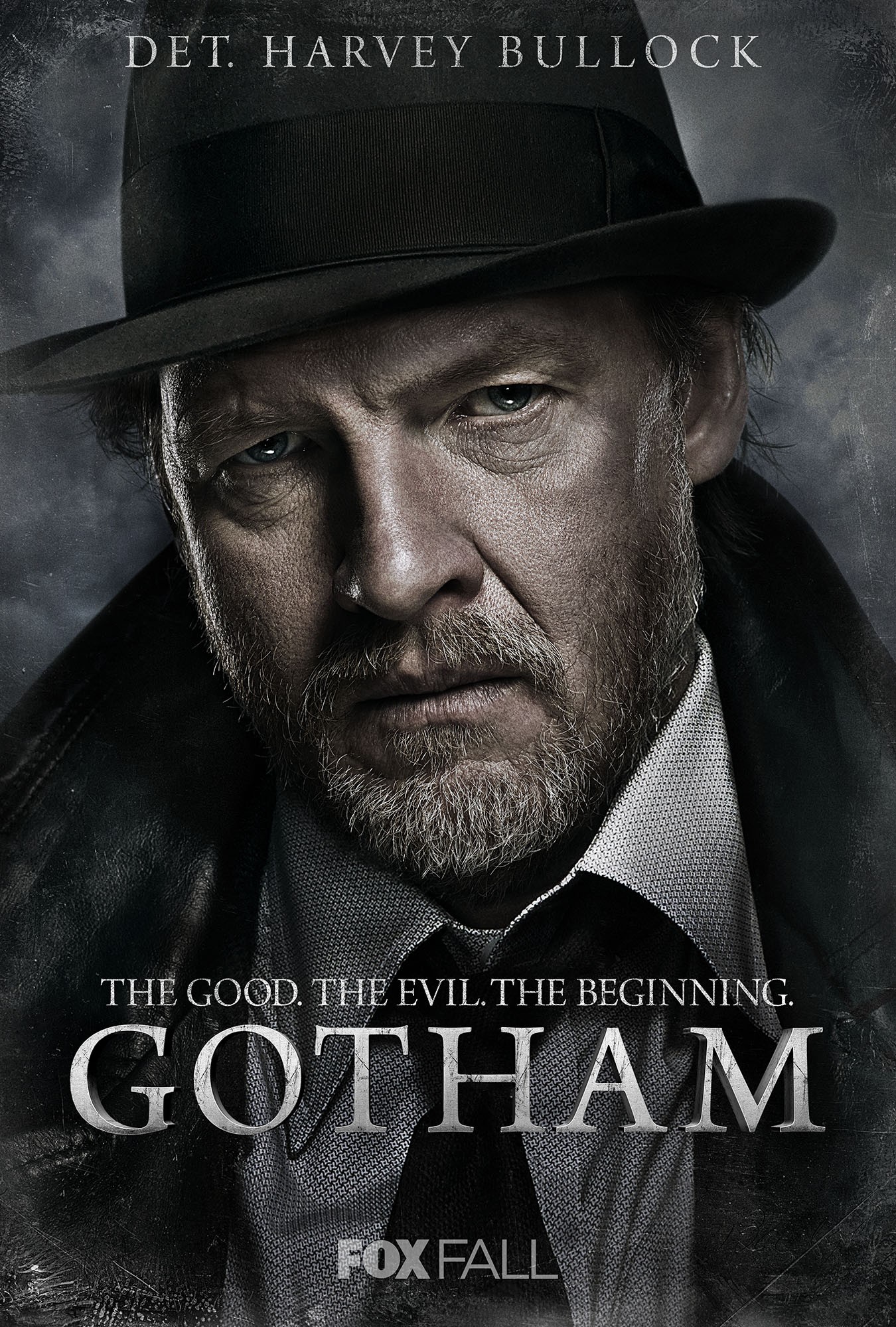 Mega Sized Movie Poster Image for Gotham (#2 of 21)