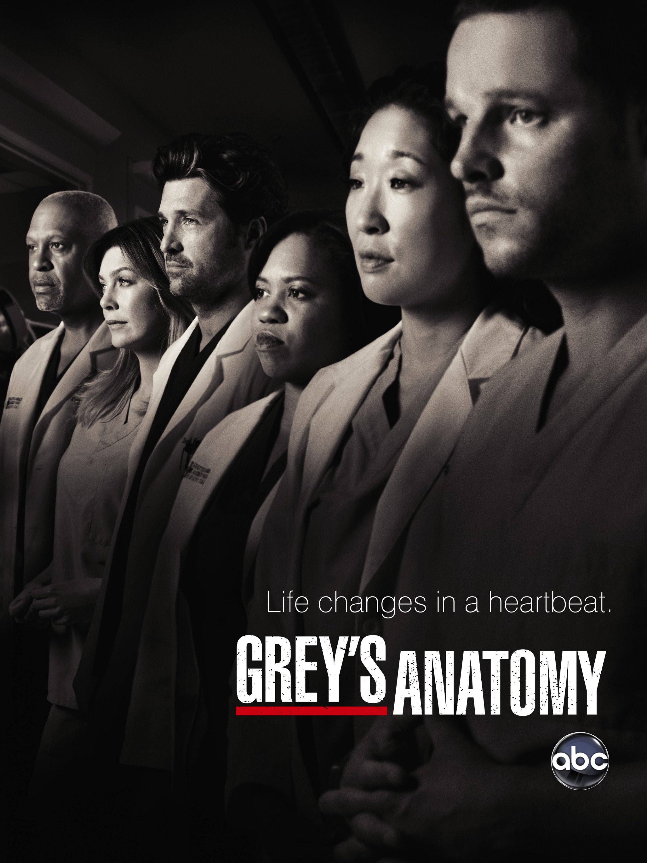 Mega Sized Movie Poster Image for Grey's Anatomy (#10 of 27)