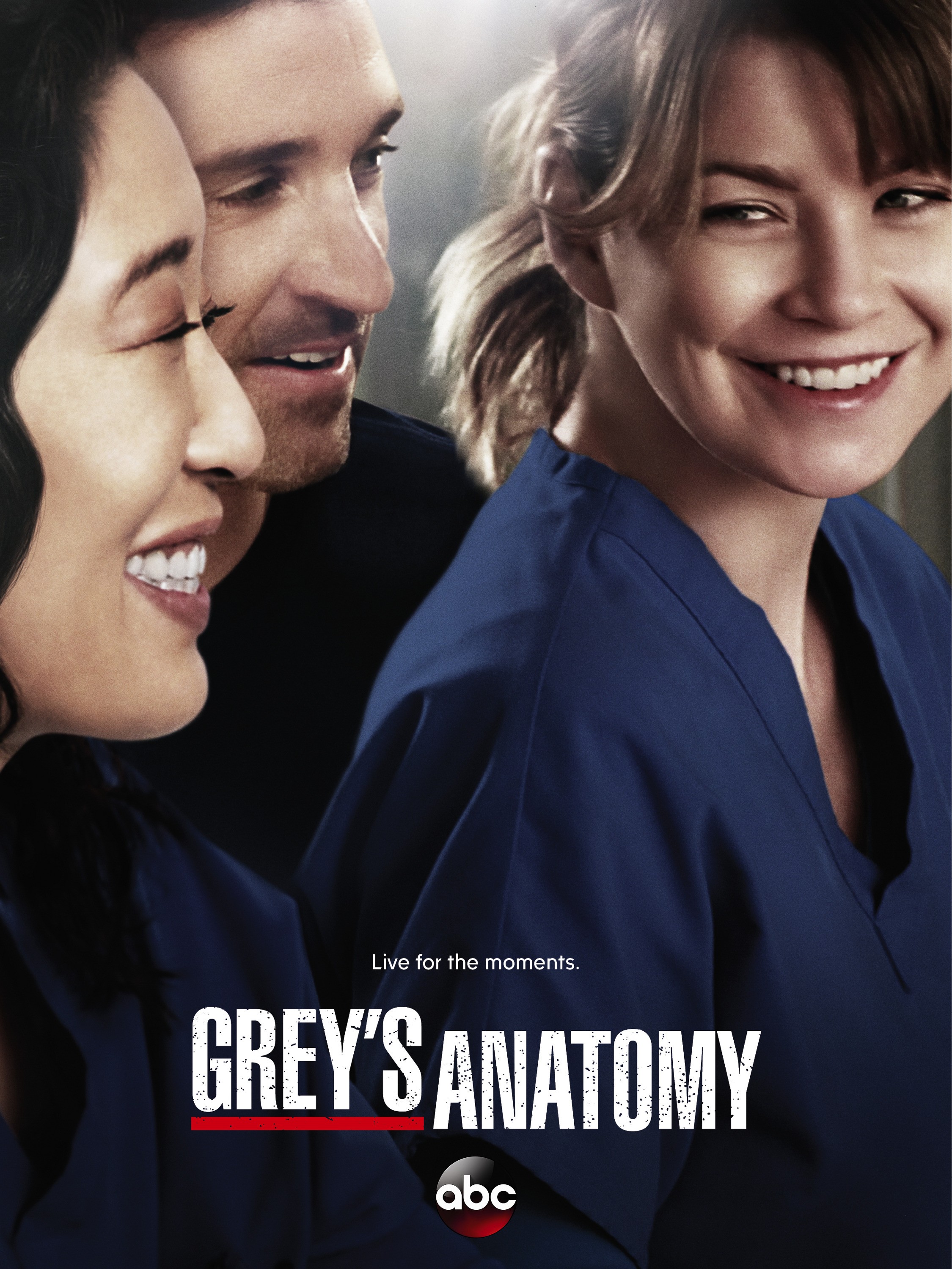Mega Sized TV Poster Image for Grey's Anatomy (#15 of 29)