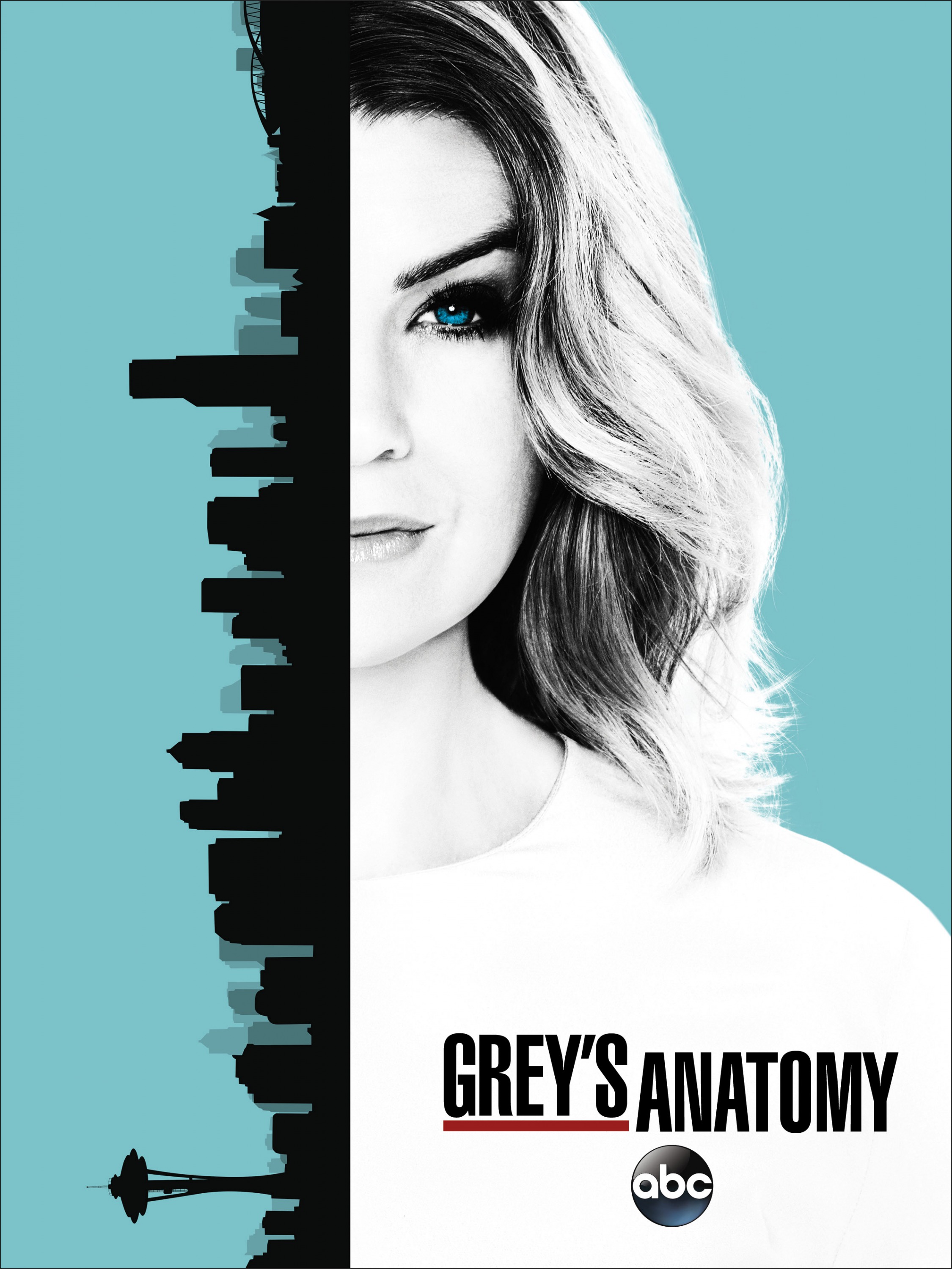 Mega Sized TV Poster Image for Grey's Anatomy (#18 of 29)