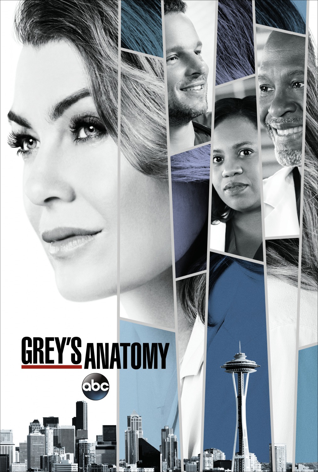 Extra Large TV Poster Image for Grey's Anatomy (#19 of 29)