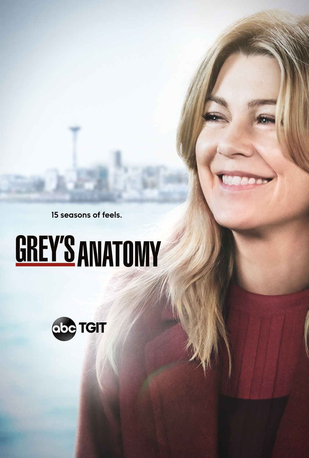 Extra Large TV Poster Image for Grey's Anatomy (#20 of 29)