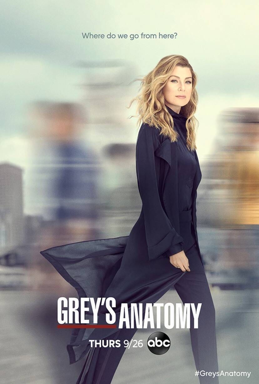 Extra Large TV Poster Image for Grey's Anatomy (#21 of 29)