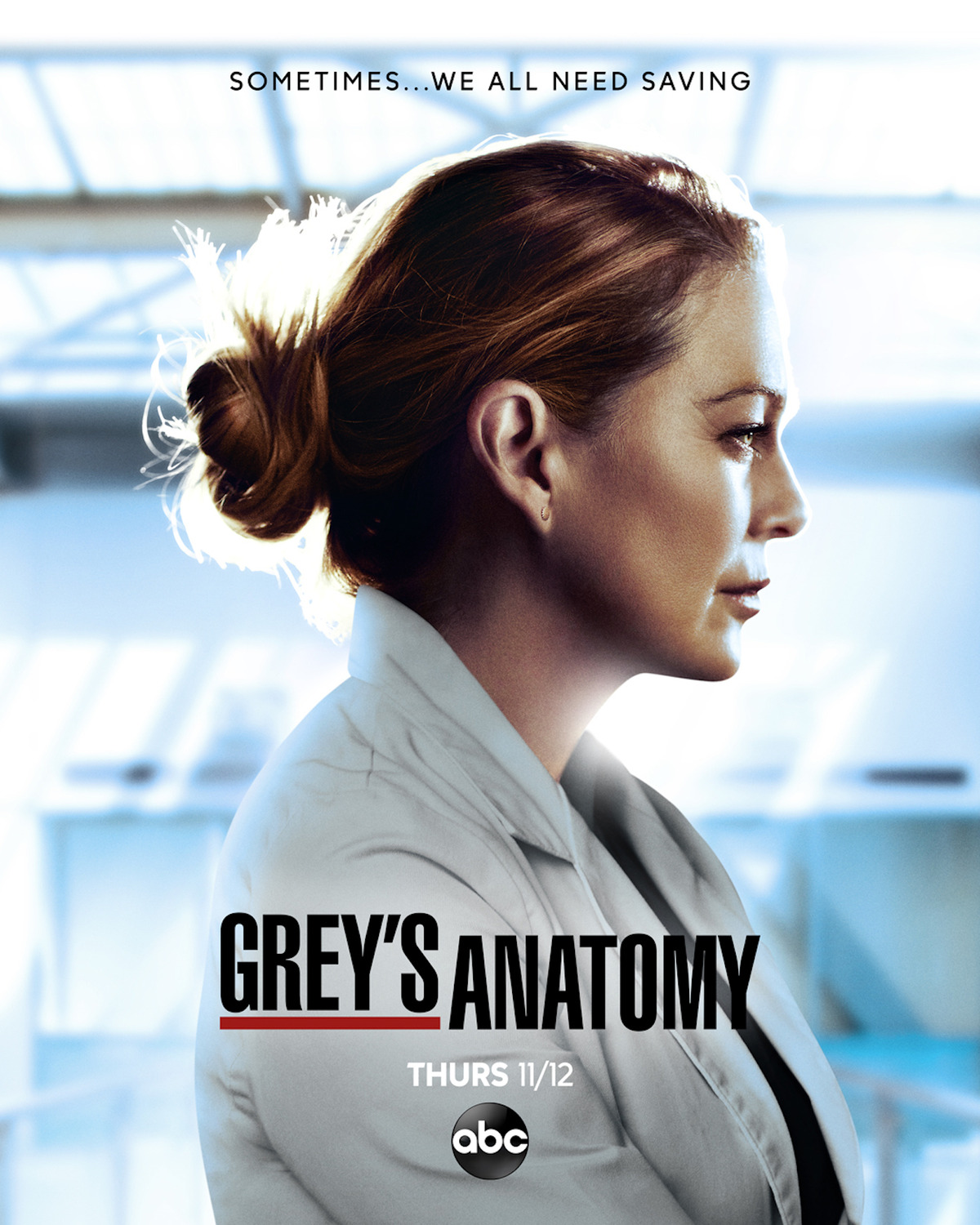 Extra Large TV Poster Image for Grey's Anatomy (#22 of 29)