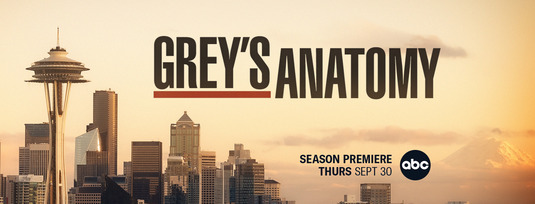Grey's Anatomy Movie Poster