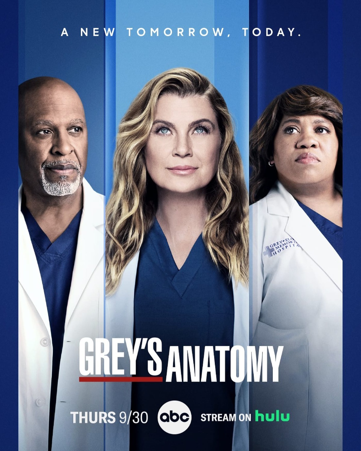 Extra Large TV Poster Image for Grey's Anatomy (#24 of 29)