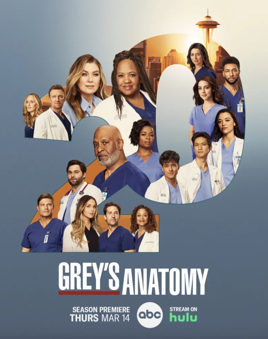 Extra Large TV Poster Image for Grey's Anatomy (#29 of 29)