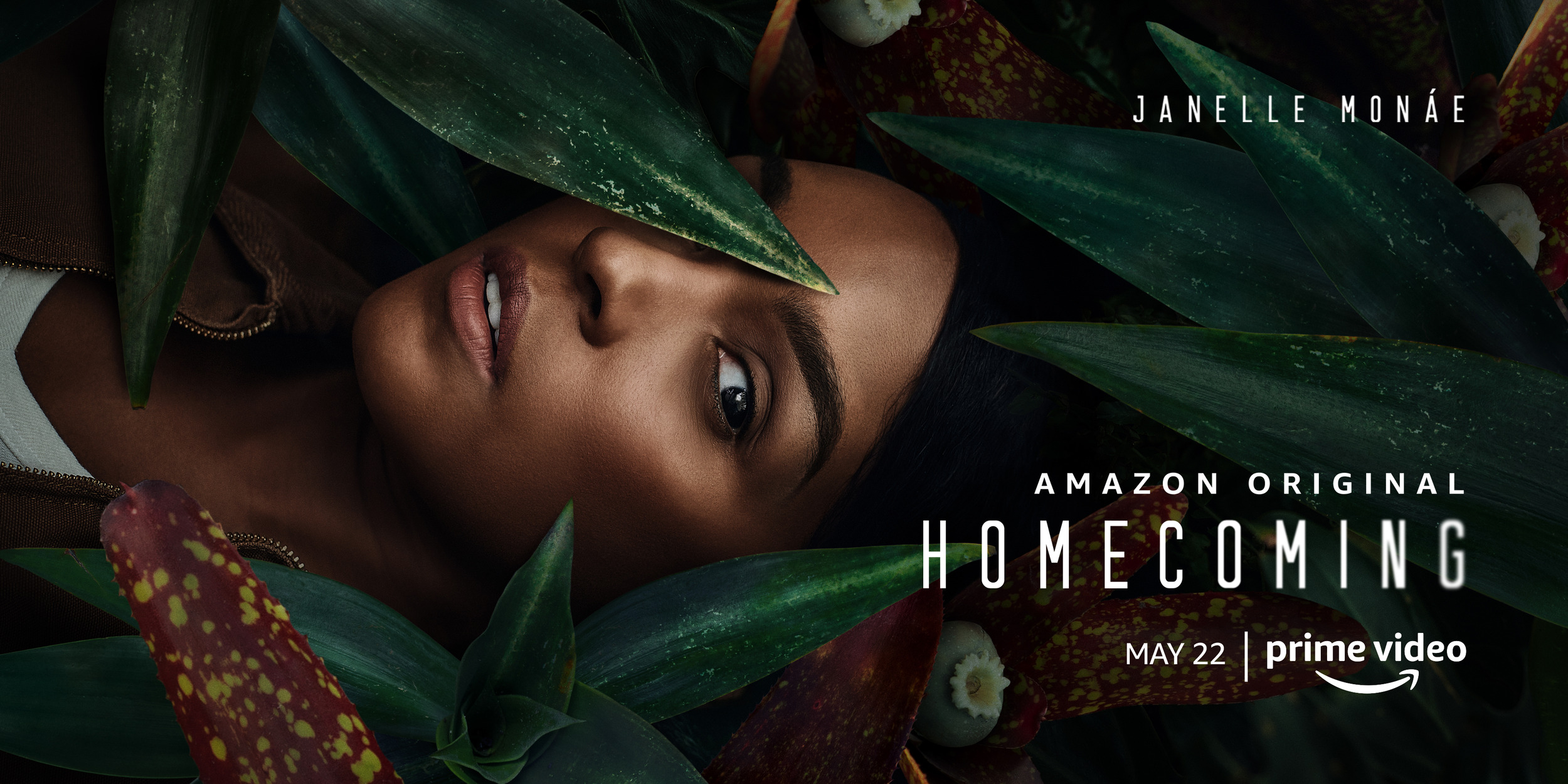 Mega Sized TV Poster Image for Homecoming (#16 of 21)