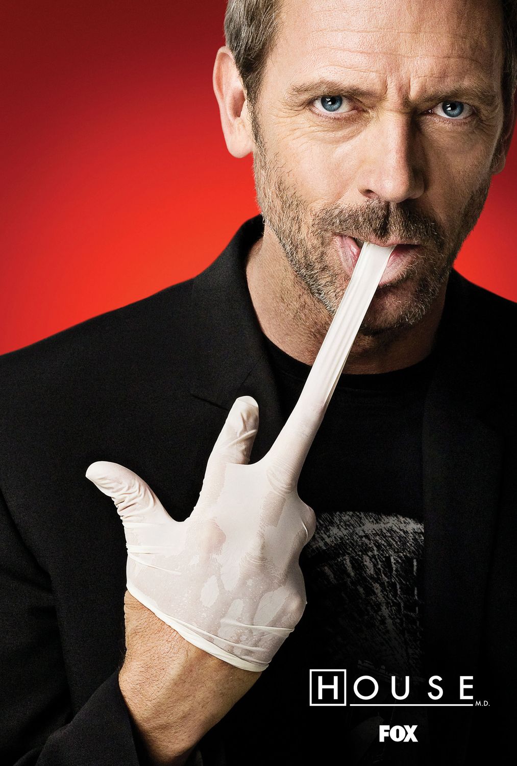 Extra Large TV Poster Image for House, M.D. (#4 of 20)