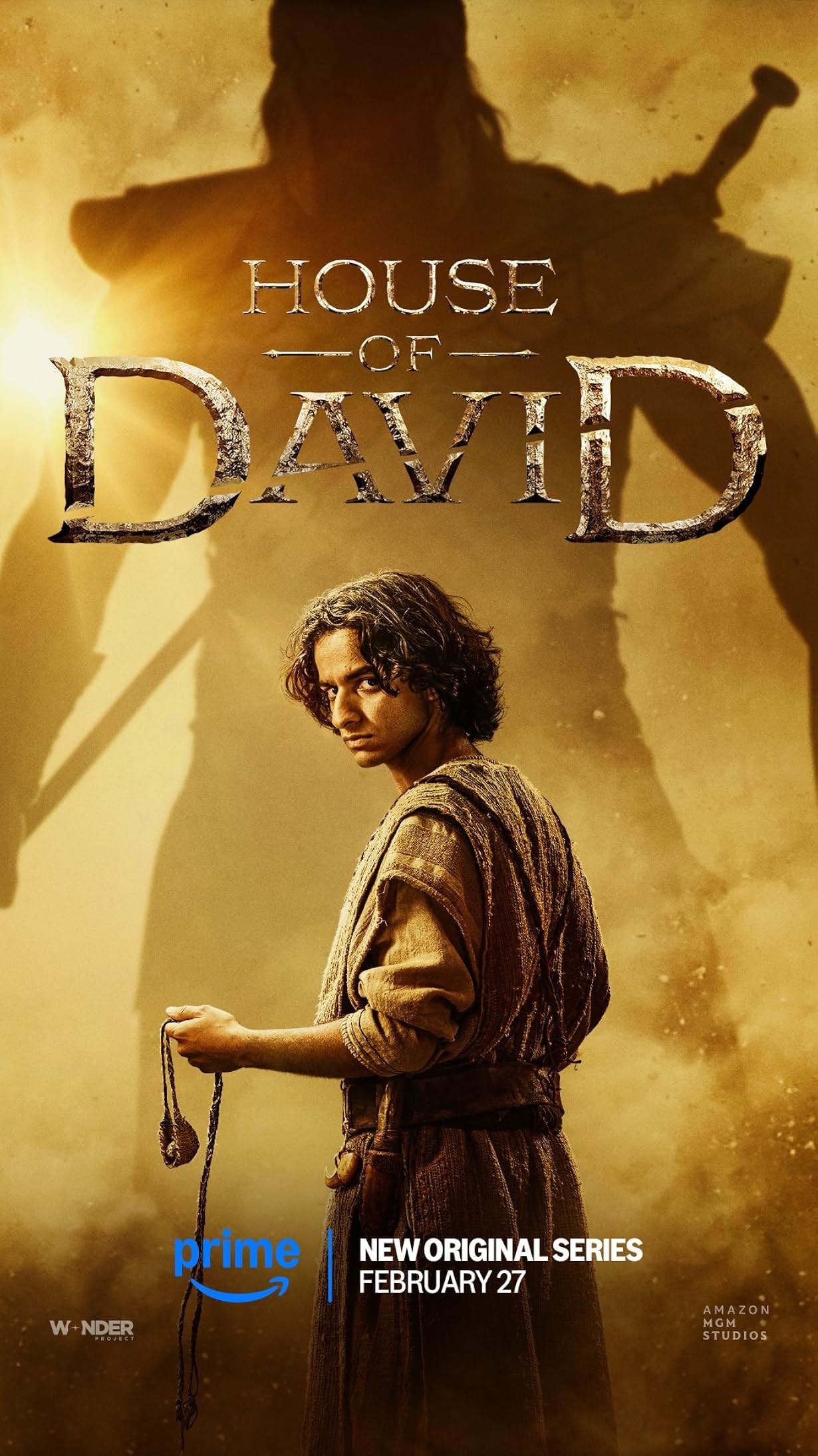 Mega Sized TV Poster Image for House of David 