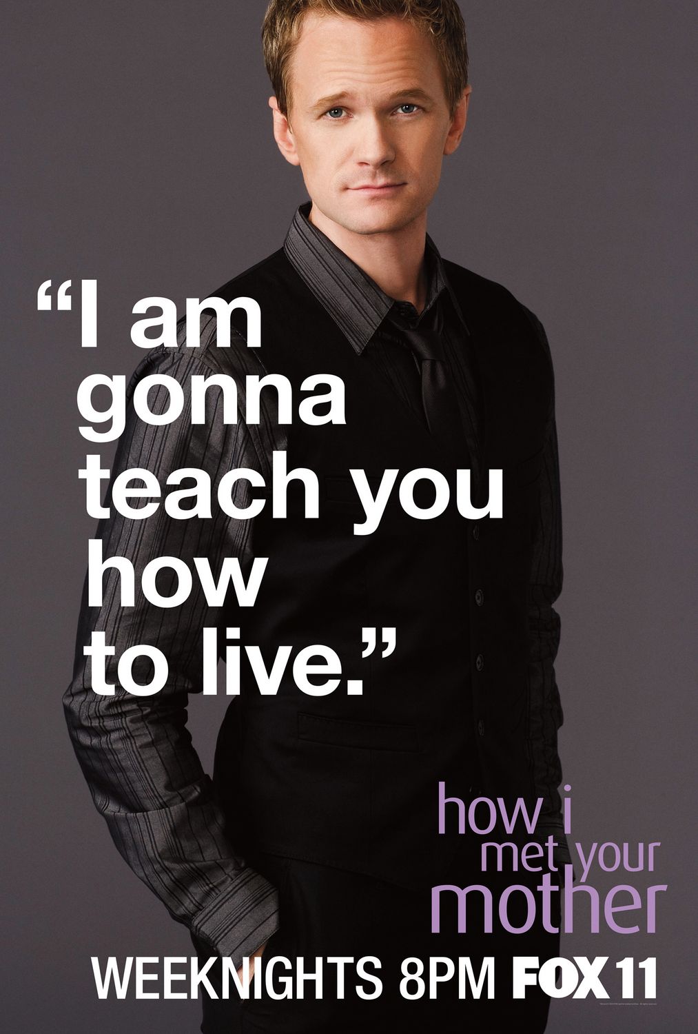 Extra Large TV Poster Image for How I Met Your Mother (#2 of 8)