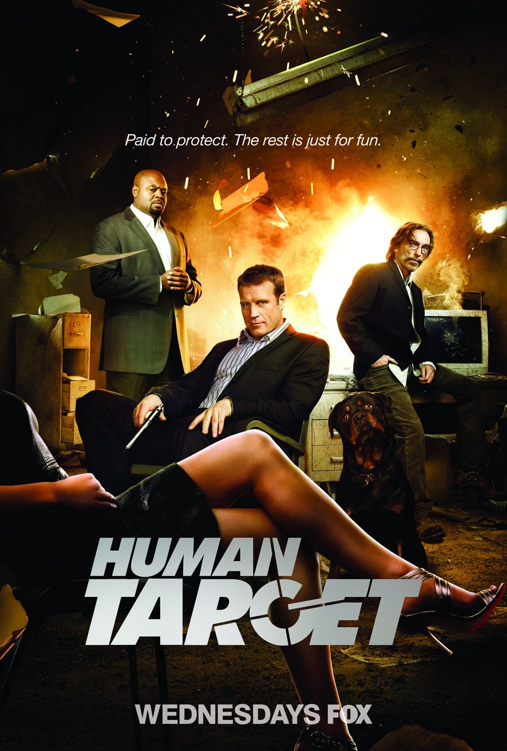 Extra Large TV Poster Image for Human Target (#3 of 5)