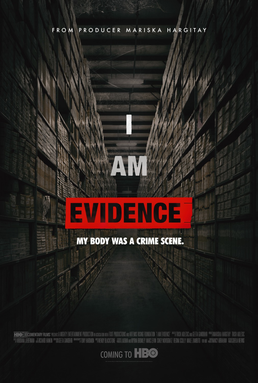 Extra Large TV Poster Image for I Am Evidence 