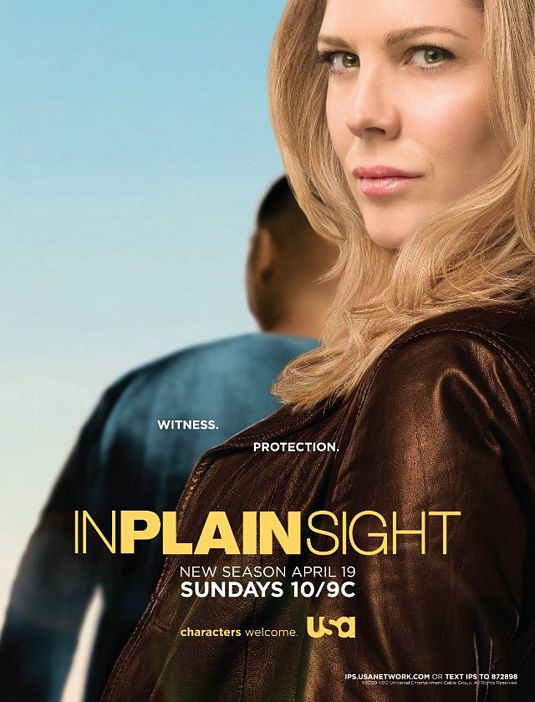 In Plain Sight Movie Poster