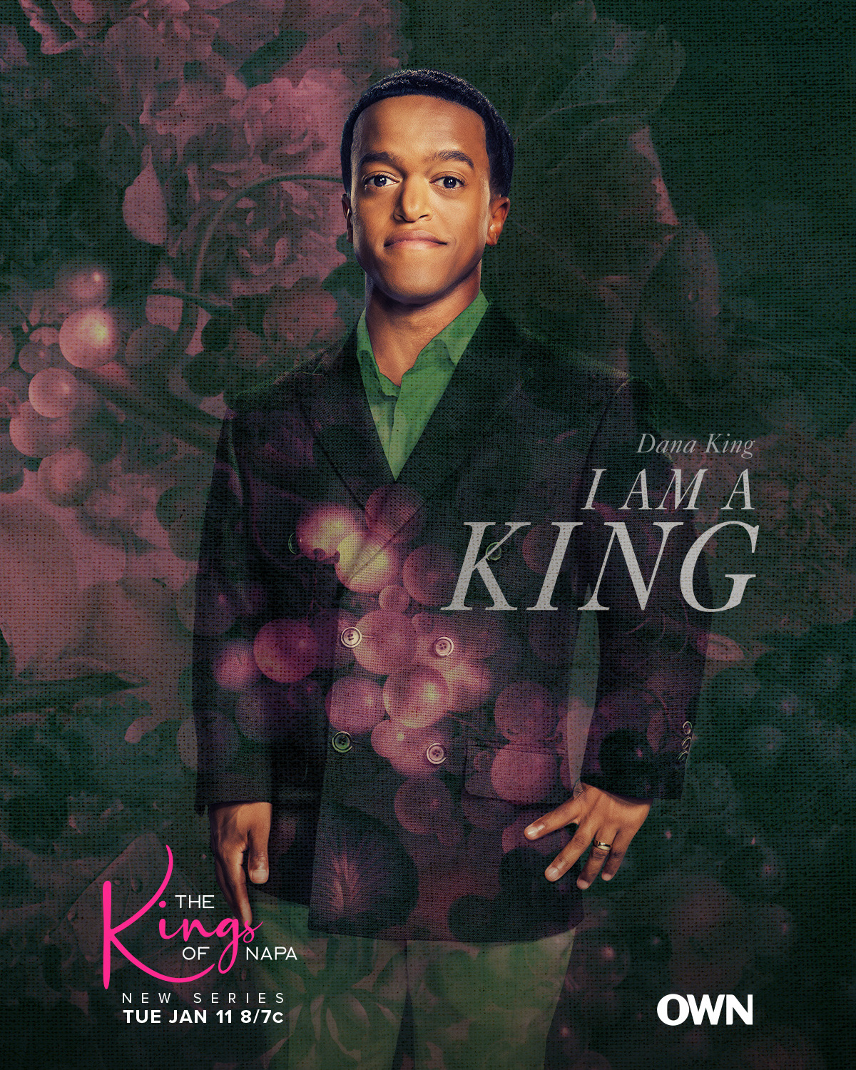 Extra Large TV Poster Image for The Kings of Napa (#5 of 8)