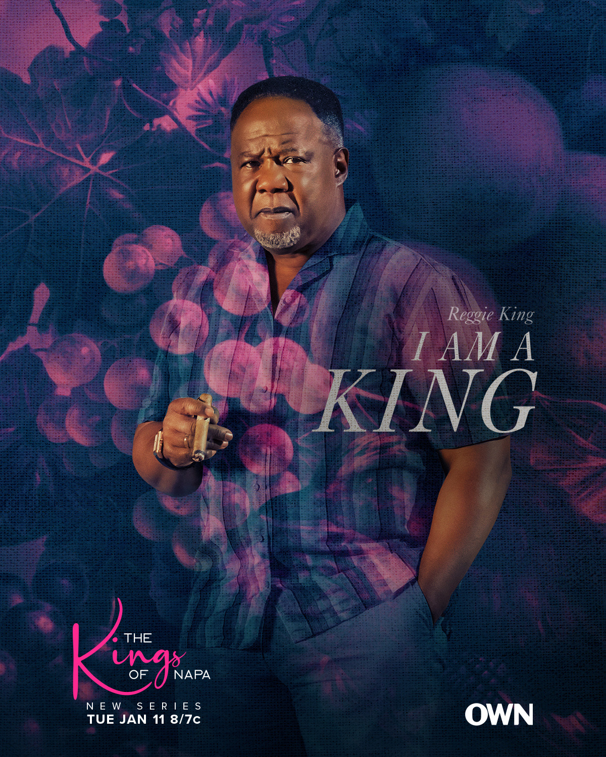 Extra Large TV Poster Image for The Kings of Napa (#6 of 8)