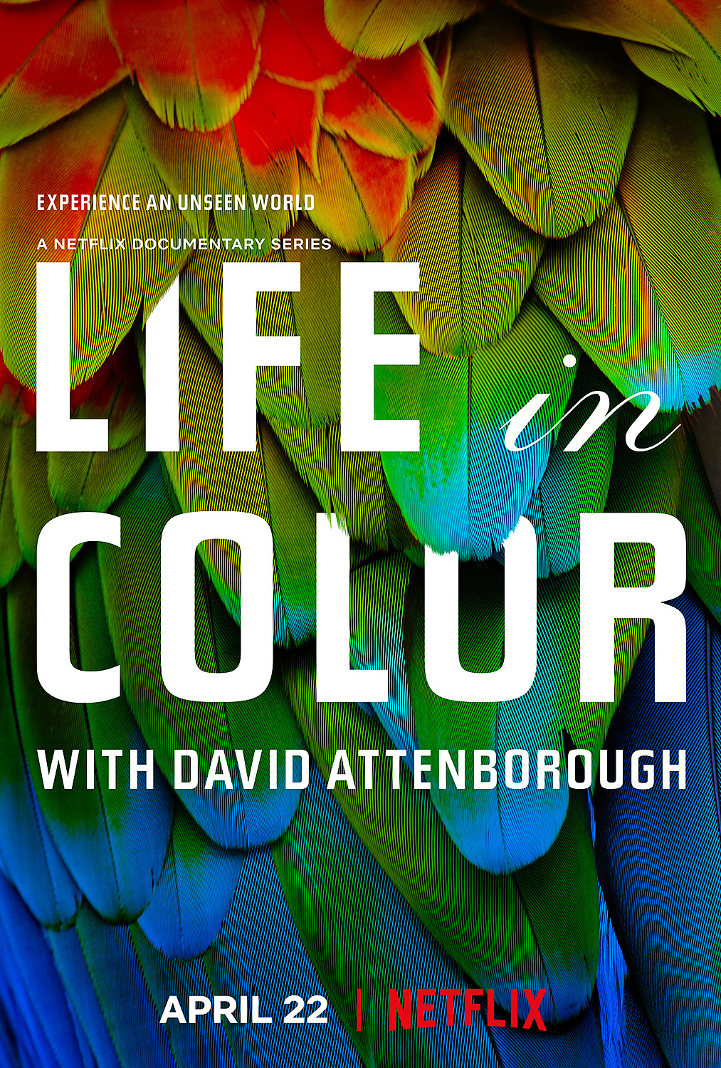 Extra Large TV Poster Image for Life in Colour 