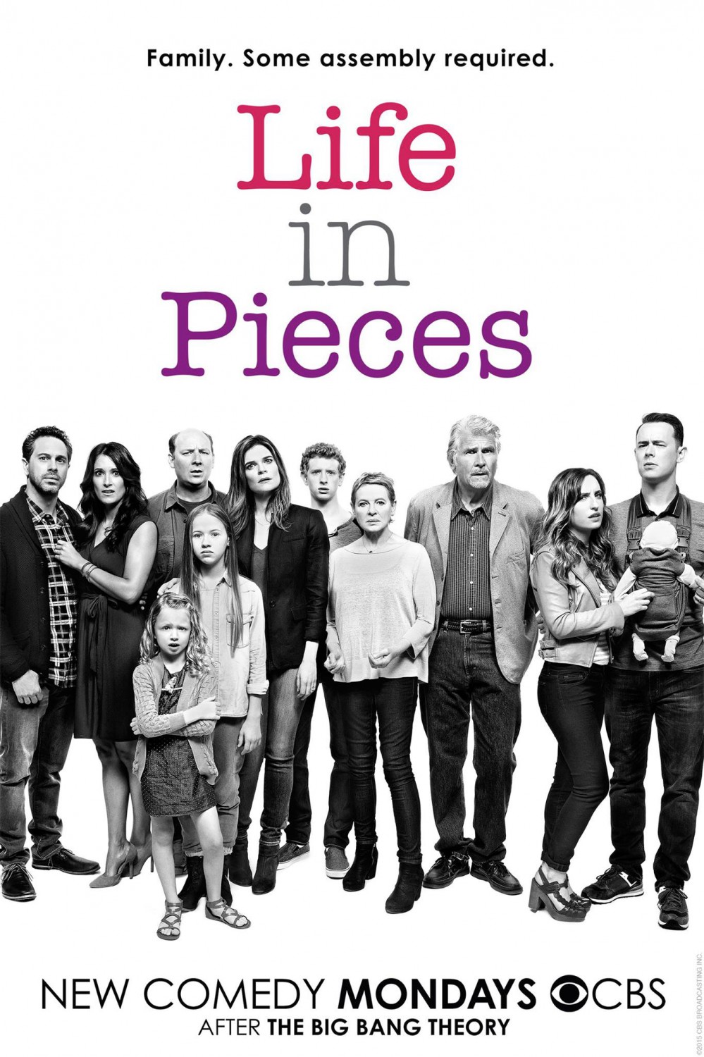 Extra Large TV Poster Image for Life in Pieces 
