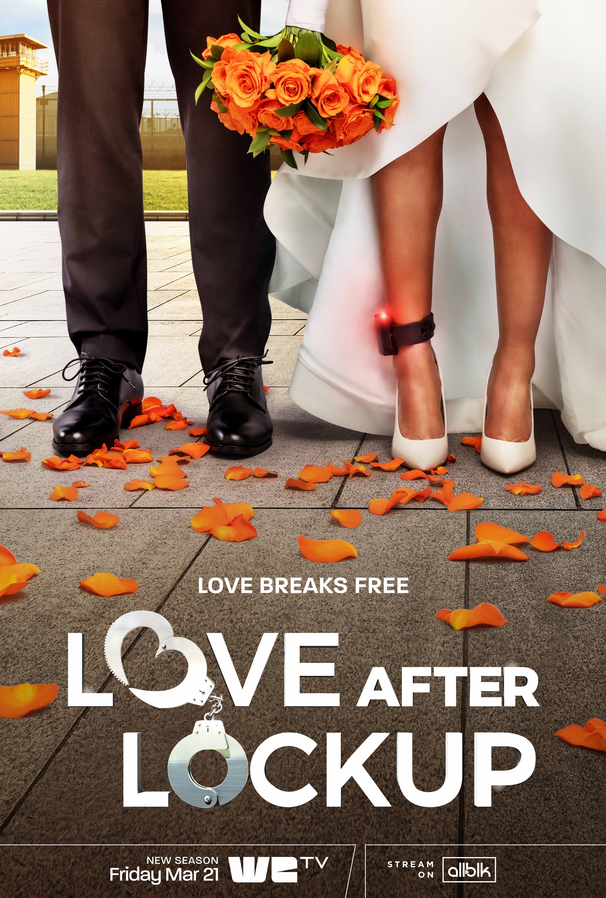 Mega Sized TV Poster Image for Love After Lockup (#1 of 3)