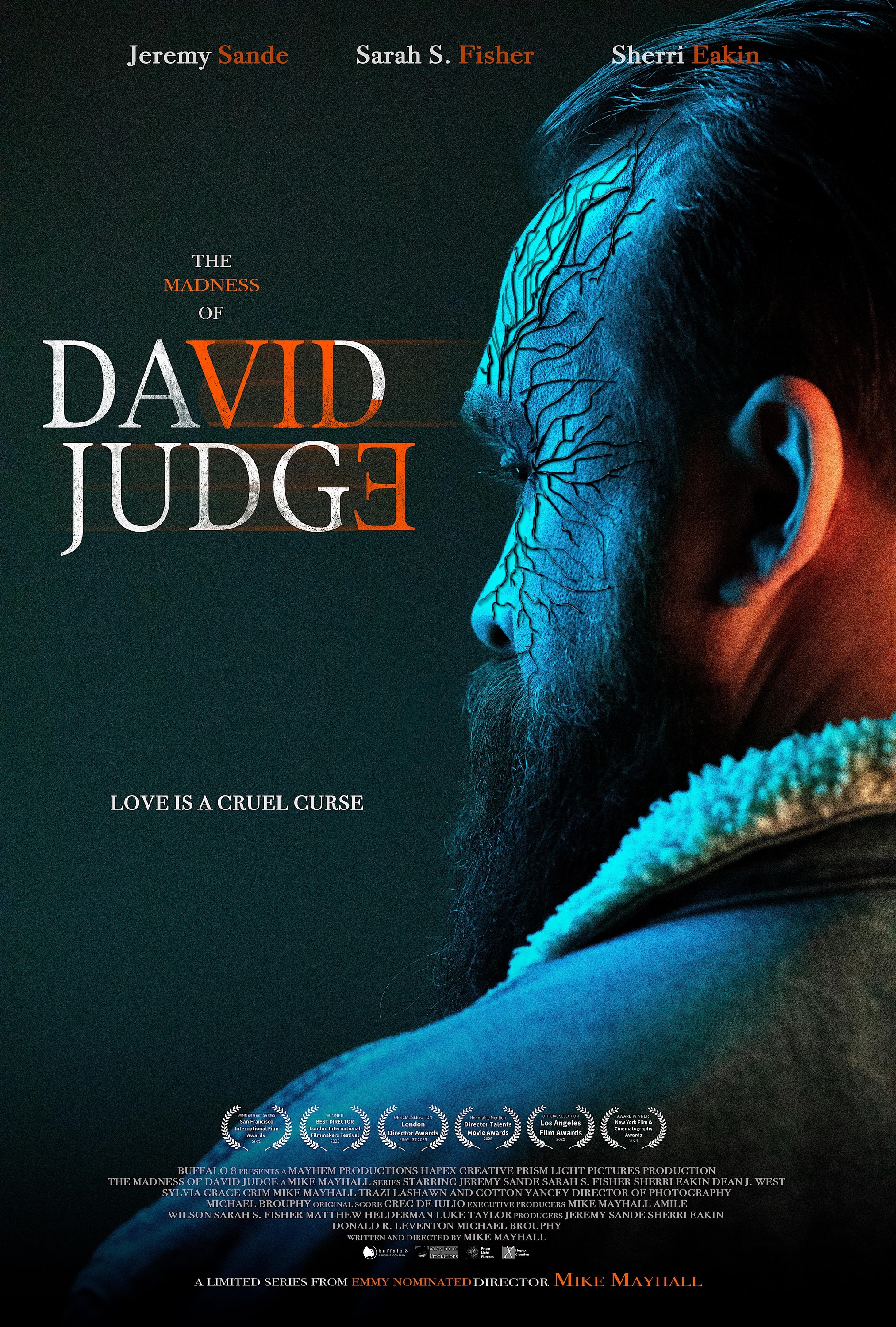 Mega Sized TV Poster Image for The Madness of David Judge 