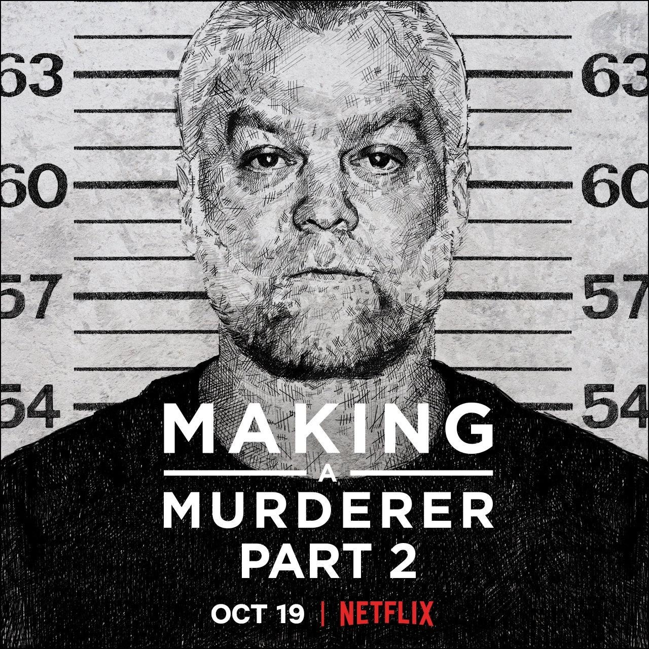 Extra Large TV Poster Image for Making a Murderer (#4 of 4)