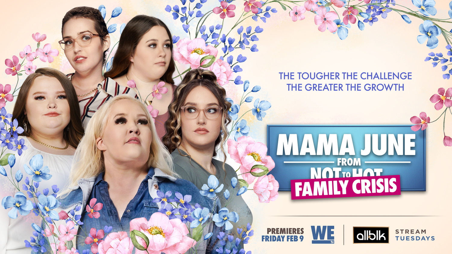 Extra Large TV Poster Image for Mama June: From Not to Hot (#5 of 8)