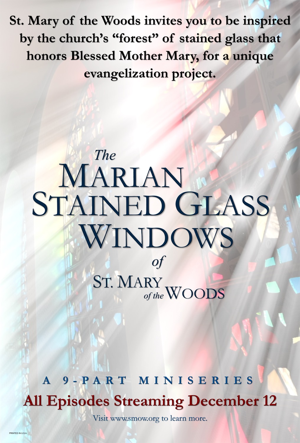 Extra Large TV Poster Image for The Marian Stained Glass Windows (#3 of 5)