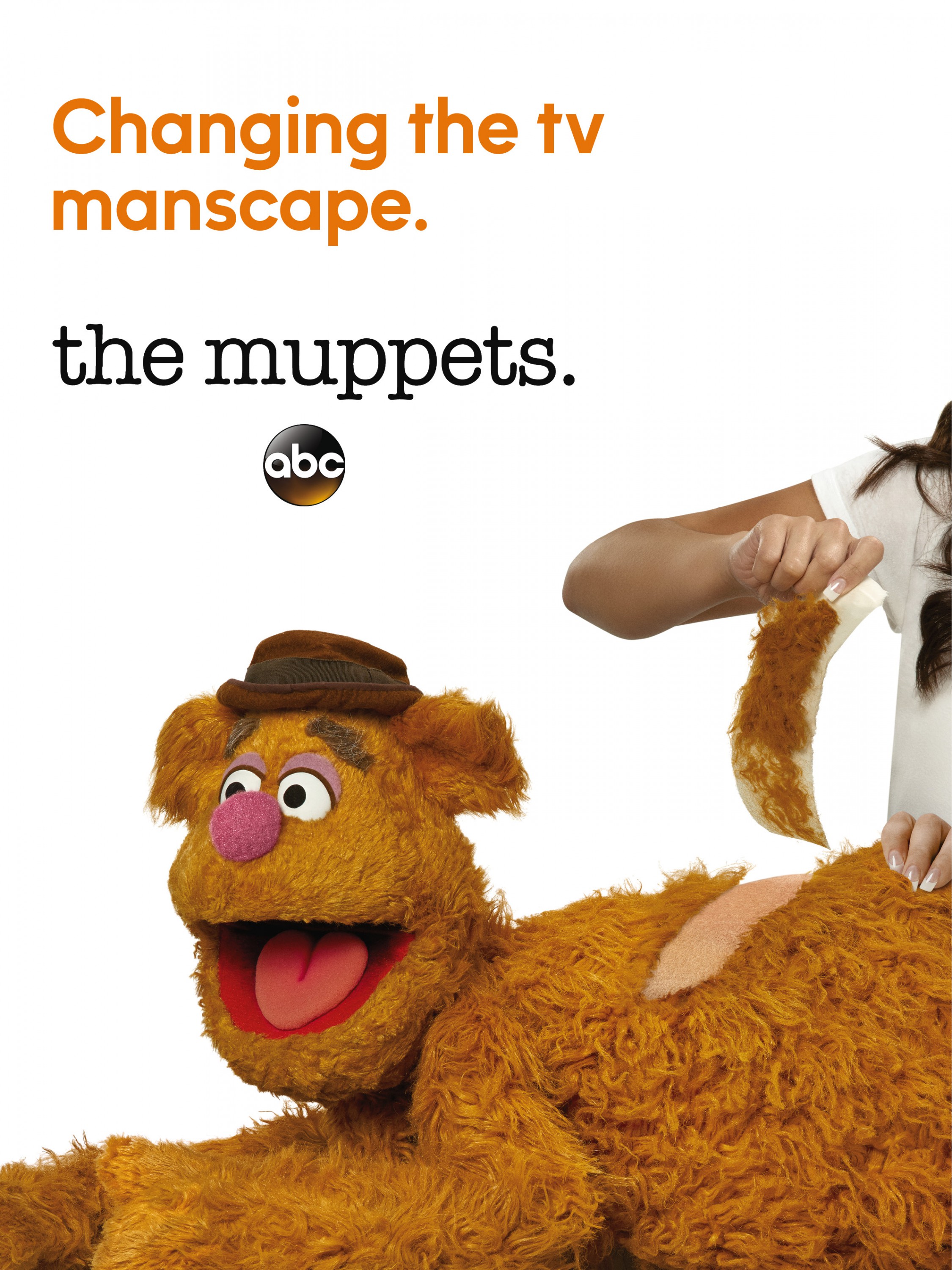 Mega Sized Movie Poster Image for The Muppets (#4 of 5)