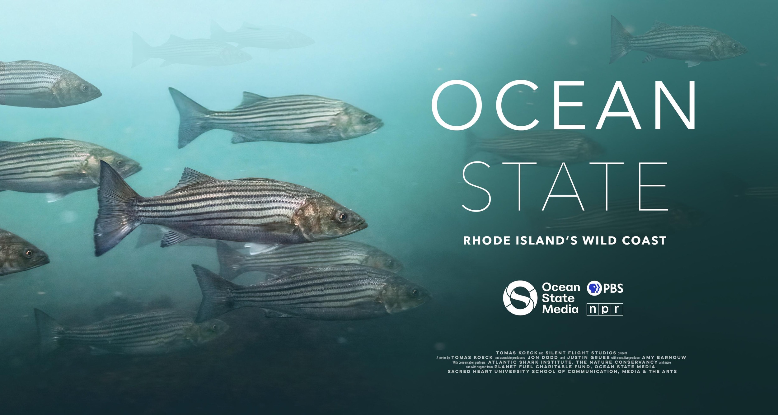 Mega Sized TV Poster Image for Ocean State: Rhode Island's Wild Coast (#2 of 3)