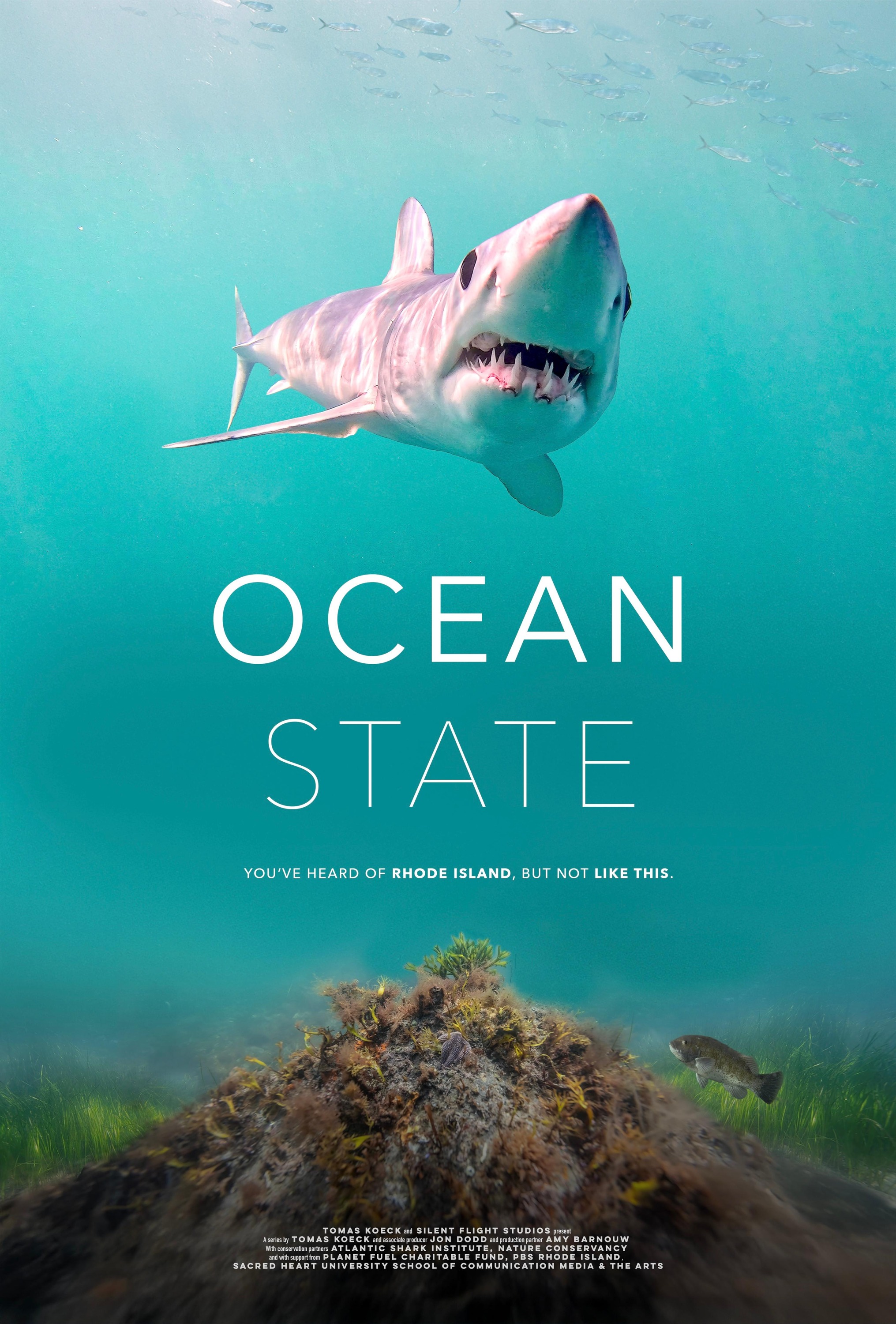 Mega Sized TV Poster Image for Ocean State: Rhode Island's Wild Coast (#1 of 3)
