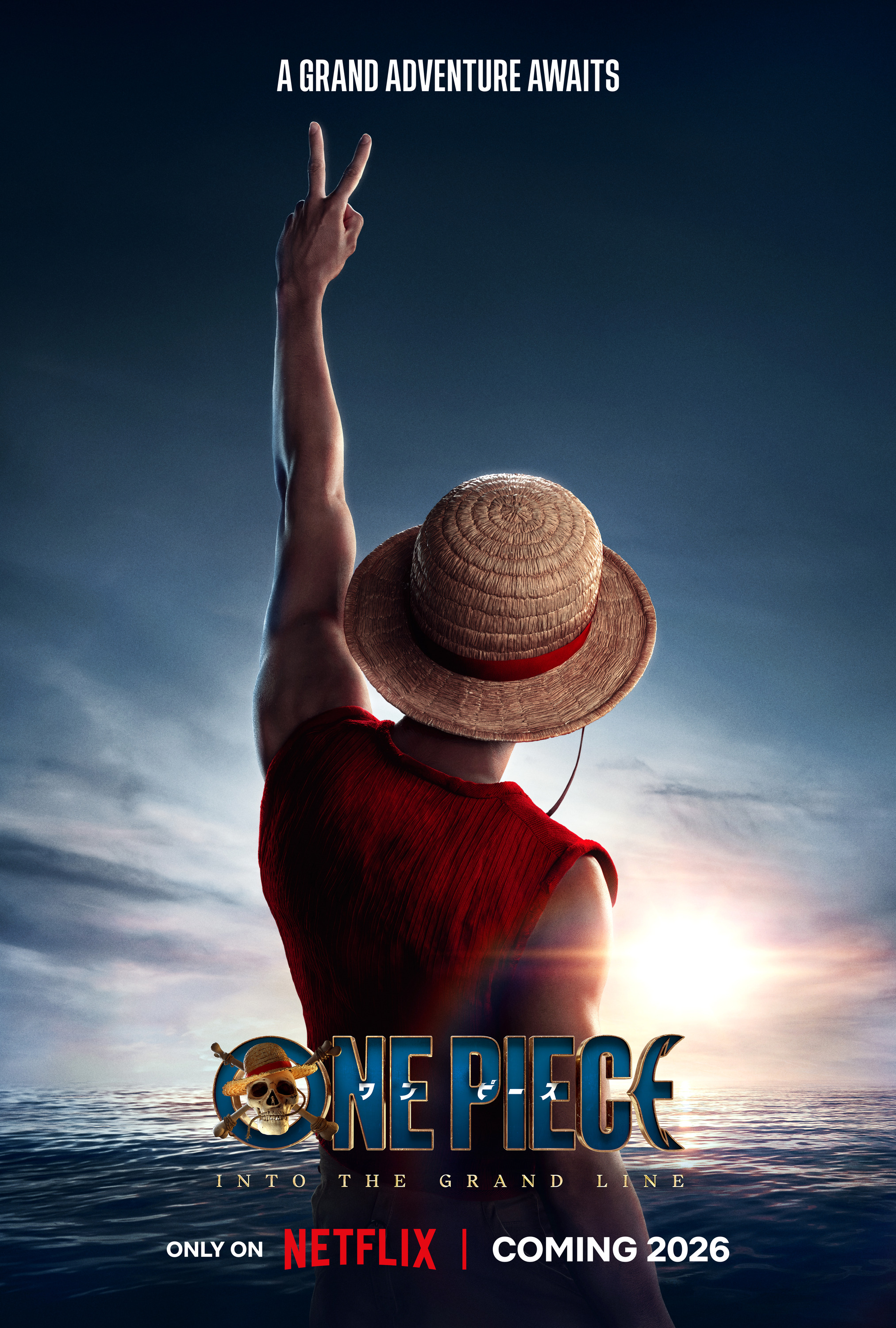 Mega Sized TV Poster Image for One Piece (#17 of 19)