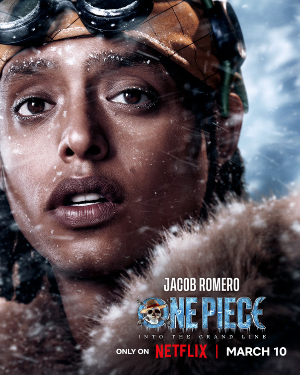 One Piece Movie Poster