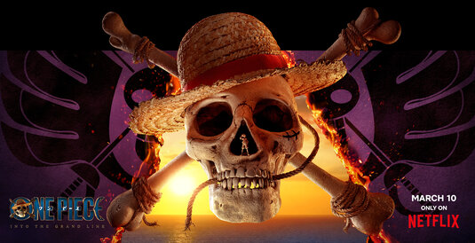 One Piece Movie Poster