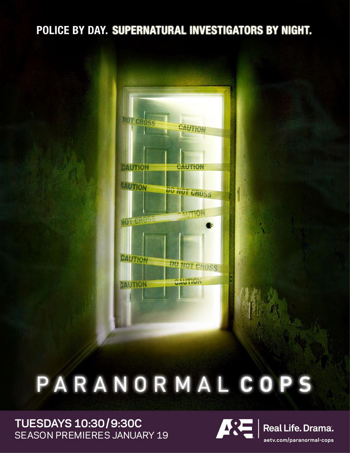 Extra Large TV Poster Image for Paranormal Cops 