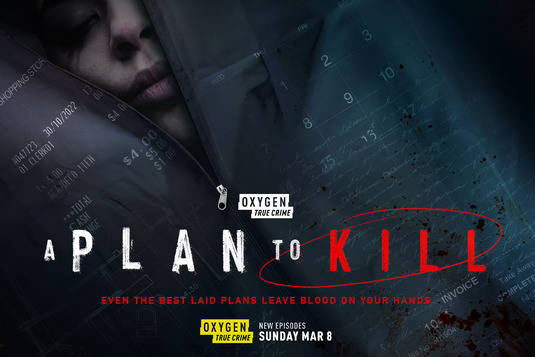 A Plan to Kill Movie Poster